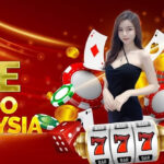 participate in the betting games